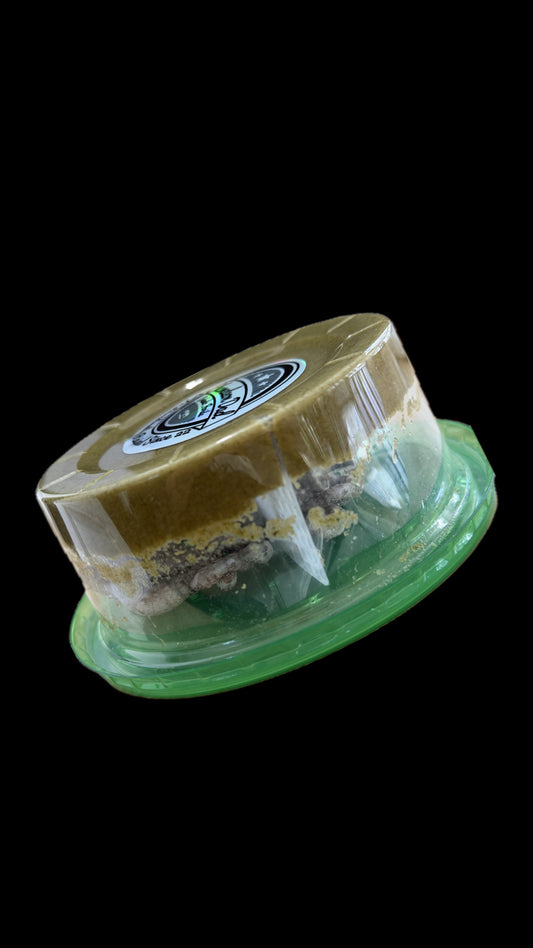 Z. FREE SHIPPING Silkworm variety 30ct+