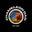 Chameleon Dad logo